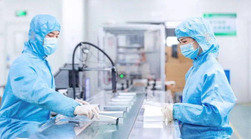十项行动②｜人力资源服务行业促进就业 为脱贫劳动力铺就劳务服务致富路