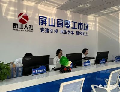 破解零工就业难题 屏山县“零工市场”正式启航