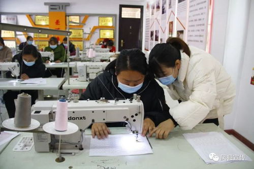 网格化为稳就业注入强劲动力 劳务服务的创新路径与实践